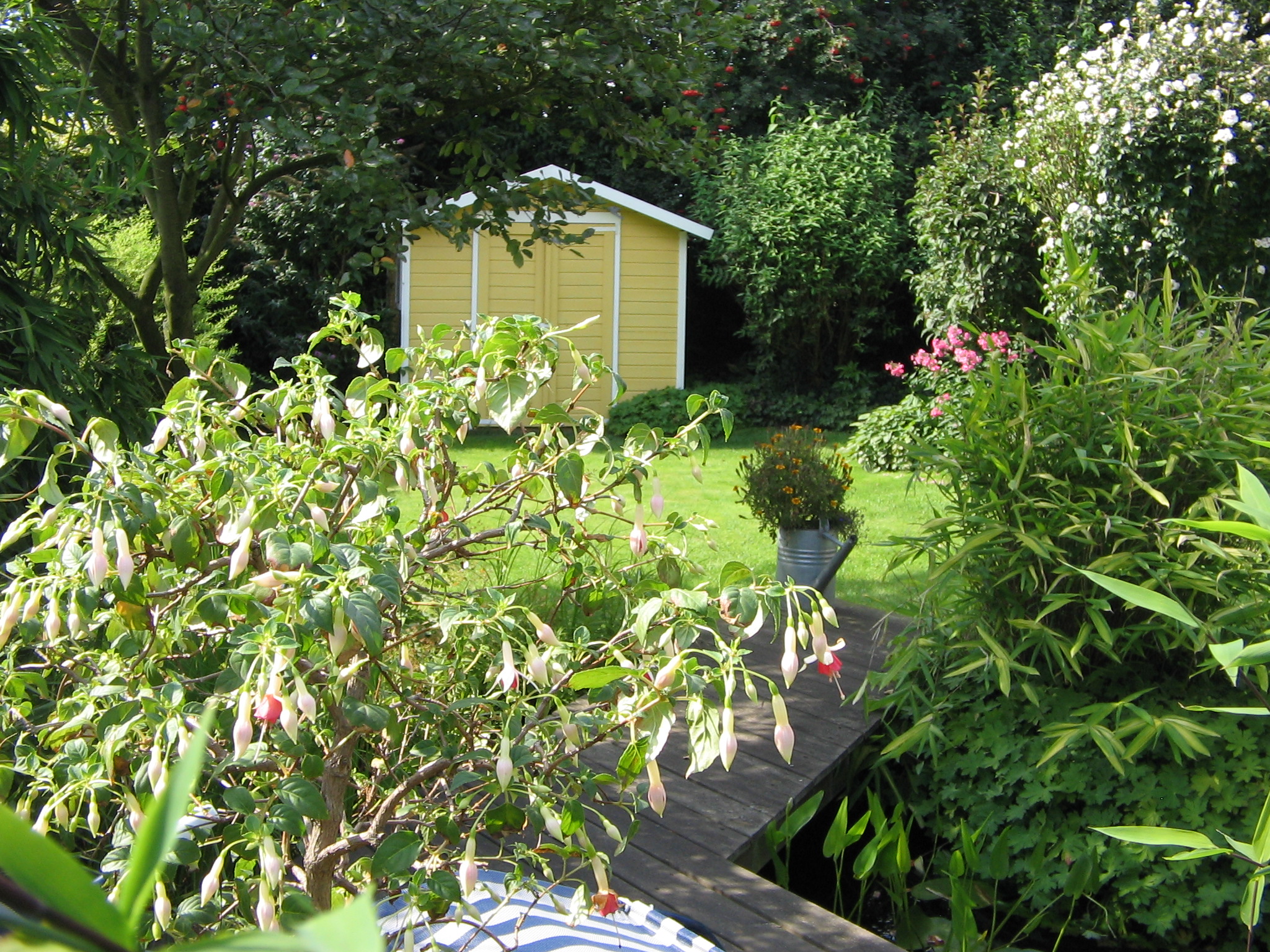 Bick von der Schmökerecke