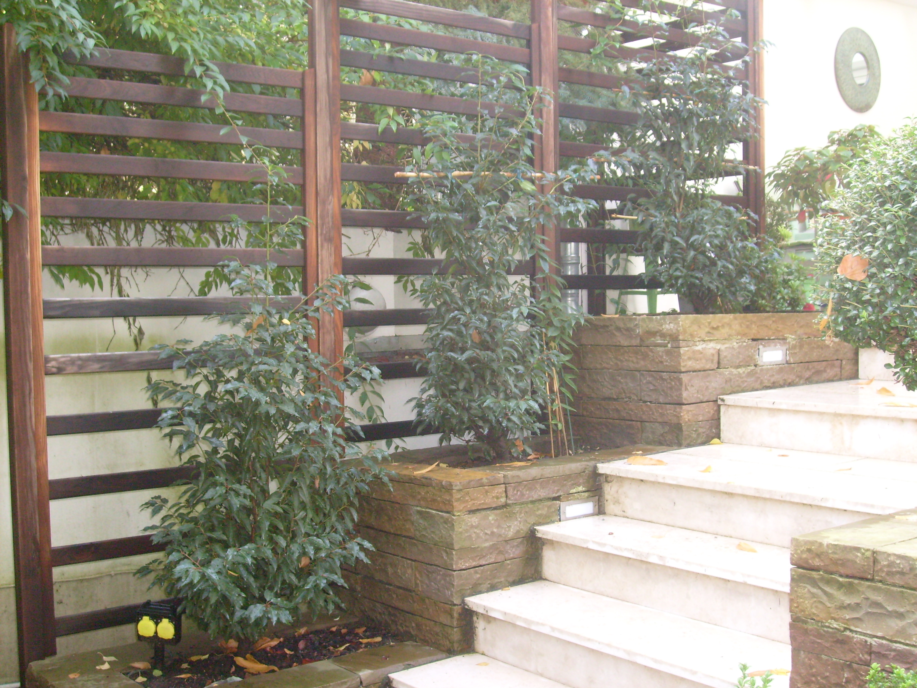 Garten für ein Stadthaus, Sichtschutz