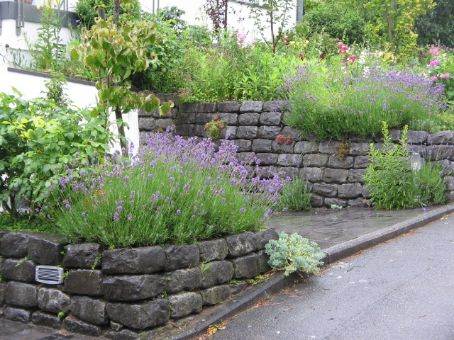 Stützmauern am Bürozugang
