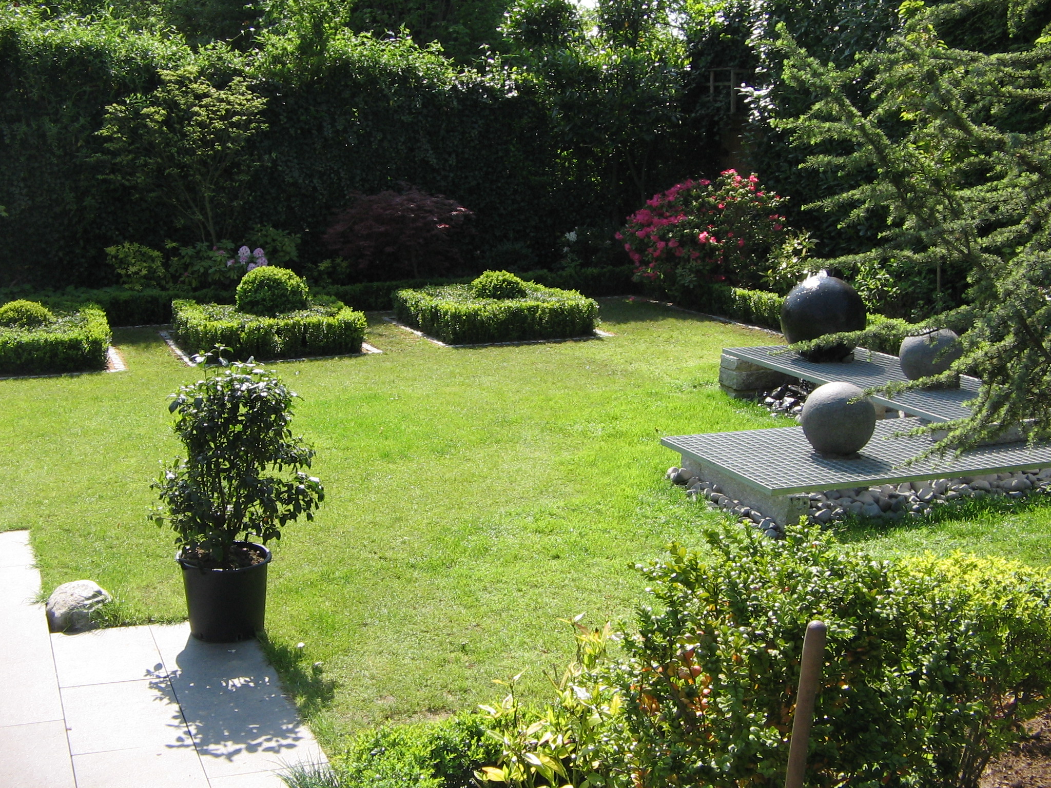 modernes Buxarrangement